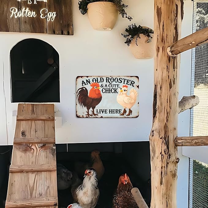 Funny Cute Vintage Chicken Coop Metal Tin Signs Plaque An Old Rooster & A Cute Chick Live Here Home Farmhouse Kitchen Wall Decor 12x8 Inch
