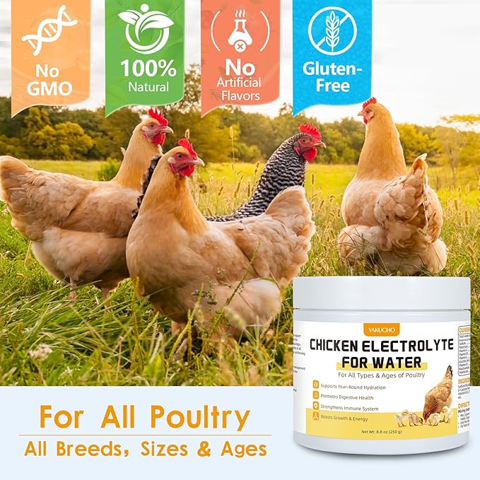 Yakucho Chicken Electrolytes for Water, Poultry Vitamins with Probiotics, Hydration, Immunity & Digestive Support, for Chicks, Adult Birds, Chickens, Ducks & Turkeys, 8.8oz Chicken Supplement Powder
