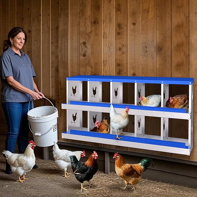 10-Compartment Chicken Nesting Box with Removable Tray - Metal Laying Boxes for Hens - Egg Rollaway Design, Wall Mount Farm Fresh Egg Collector, Hen Roosting Boxes for Chicken Coops