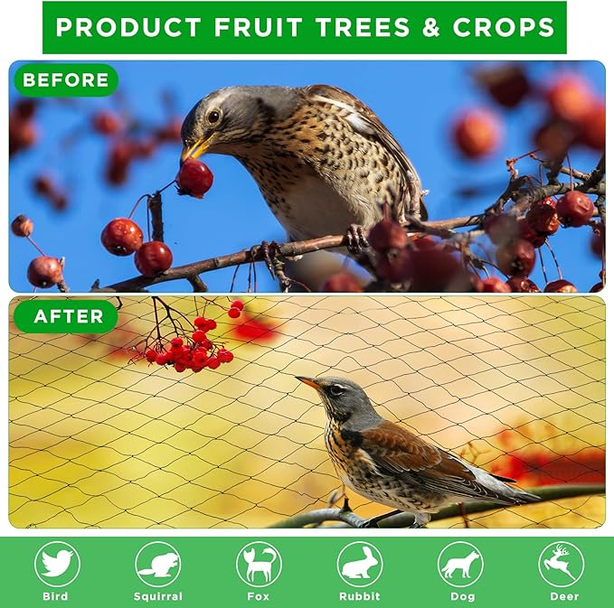 Windyun 1 Pcs 50' x 50' Bird Netting Bird Net Chicken Coop 2.4" Mesh Heavy Duty Deer Fence Aviary Net Reusable Fruit Tree Poultry Barrier for Garden Protection Vineyard Against Hawk Squirrel, Black