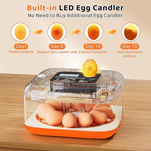 Incubators for Hatching Eggs 12 Egg Digital Egg Incubator Precision Auto Temp Humidity Control 6 Gear Adjustable Auto Turner Auto Stop Turning Hatching Days Display for Chicken Duck Goose Eggs