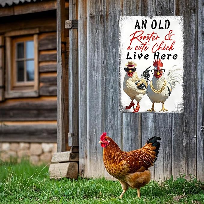 Chicken Metal Signs Chicken Coop Accessories Tin Sign Rooster Wall Decor Vintage Style An Old Rooster And A Cute Chick Live Here Tin Plaque For Farmhouse Garden Gate Fence Yard Decor 12x8 Inch