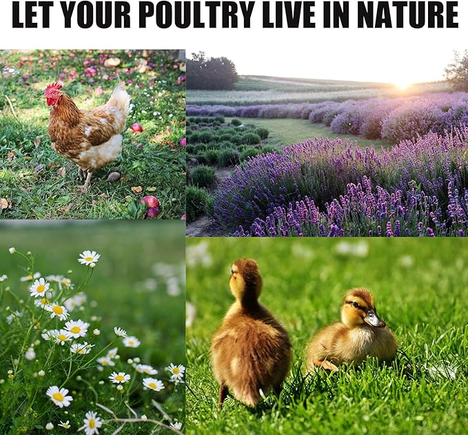 MIUPOO Chicken Coop Bedding,Chicken Nesting Herbs,Natural Blend of 8 Premium Dried Herbs for Fresh Nest Box, Fragrant Dried Herbs for Poultry Habitat,8 Ounces Per Bag.