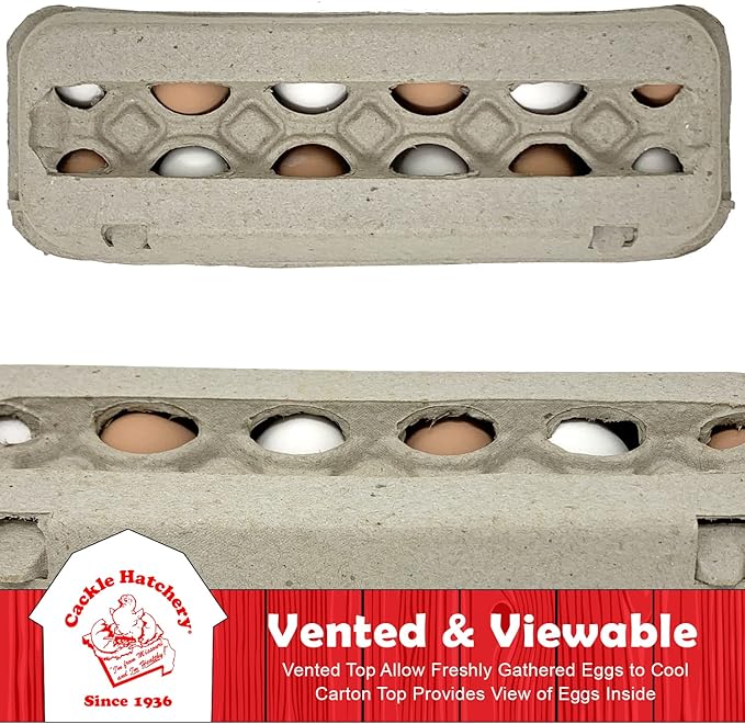 Cackle Hatchery Vented Paper Pulp Egg Cartons Holds 1 Dozen Chicken Eggs (144 Pack)