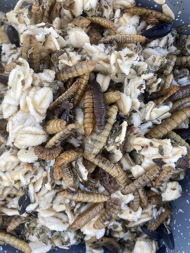 USA Black Soldier Fly Grub, Oatmeal, & Herb Chicken Scratch Treat for Backyard Hens: Healthy Backyard Chicken Feed and Supplies, Cold Winter Nights (4 pounds)
