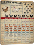 PAIION Metal Tin Signs Chicken Knowledge Detail About Chicken for Farmer for Friends Music Vintage Home Bathroom Cottage Farm Wall Decor 16x12 Inch