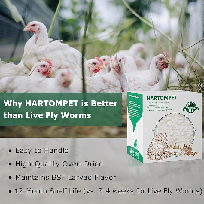 Dried Black Soldier Fly Larvae for Chickens - Non-GMO Poultry Feed Supplement, 85X More Calcium Than Mealworms, 1LB BSF Worms Treat for Molting & Laying Hens, Ducks & Wild Birds