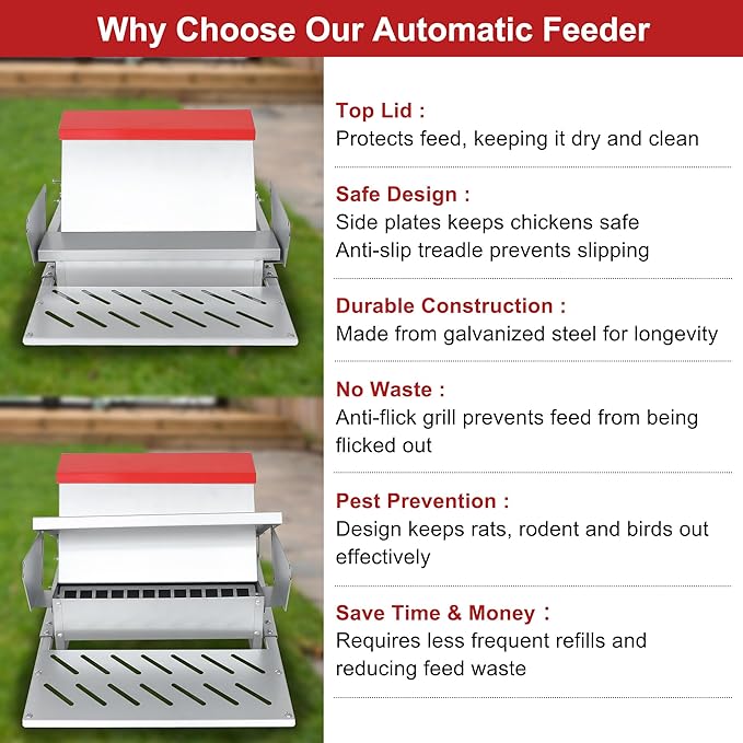 25lbs Automatic Chicken Feeder-Metal Treadle Poultry Feeder, No Waste Rat Proof Chicken Feeder with Sturdy Galvanized Steel Build and Weatherproof Locking Lid for Duck, Fowl, Pheasant Outdoor