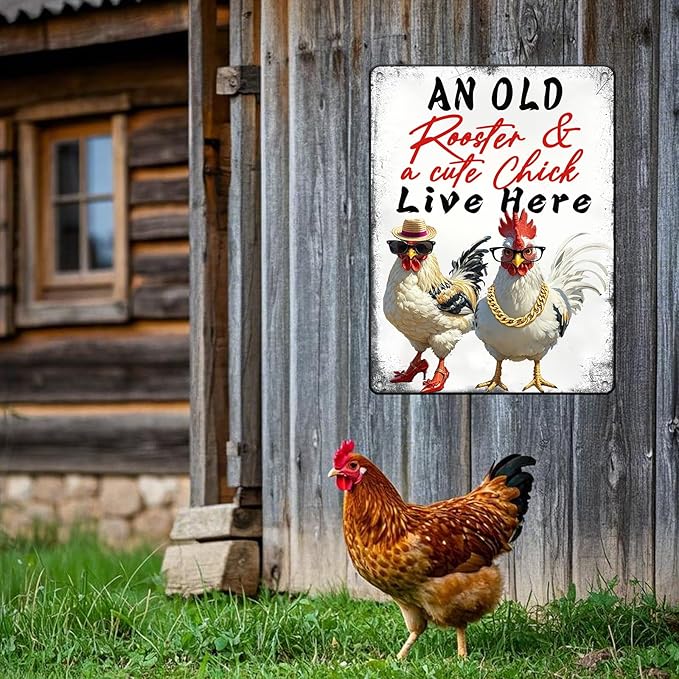 Rooster Wall Decor Chicken Signs Chicken Coop Accessories Metal Tin Sign Vintage Style An Old Rooster And A Cute Chick Live Here Iron Poster 12x16 Inch