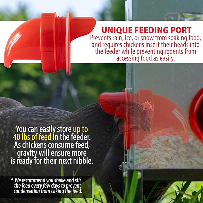 Automatic Chicken Feeder - 40 lb Capacity 6 Port Large Metal Chicken Feeders - with Locking Lid and Legs