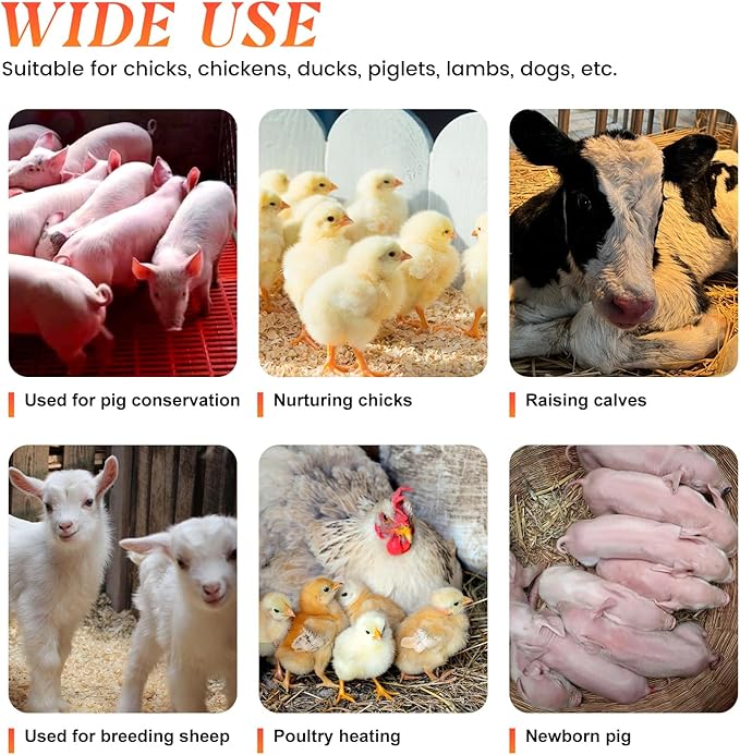 Chicken Heat Lamp Chick Brooder Chickens Coop Heater Heating Lamp for Outdoor & Indoor 300W Heater for Dog Rabbit Duck Chicken Piglet Goat (300W)