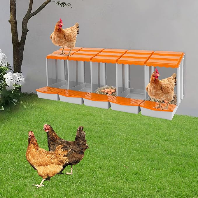 Chicken Nesting Boxes 5 Compartment PP Nesting Box with Inclined Nesting Boxes & Vented Holes Wall Mount Chicken Laying Boxes for Chicken Coop (Orange)
