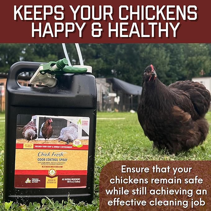 Chick Fresh Odor Eliminator for Backyard Chickens. Makes 1 Gallon of Solution Eliminates Coop, Brooder Odor, Etc. Concentrate w/ 128 oz Empty Sprayer (5 gallons)