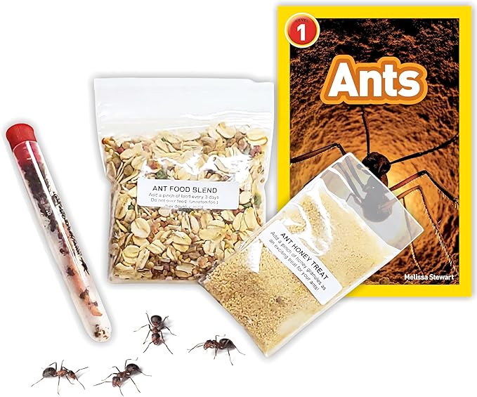 1 Tube of Live Ants Plus Ant Food, Honey Treat, & Book, Ant Habitat Kit Refill