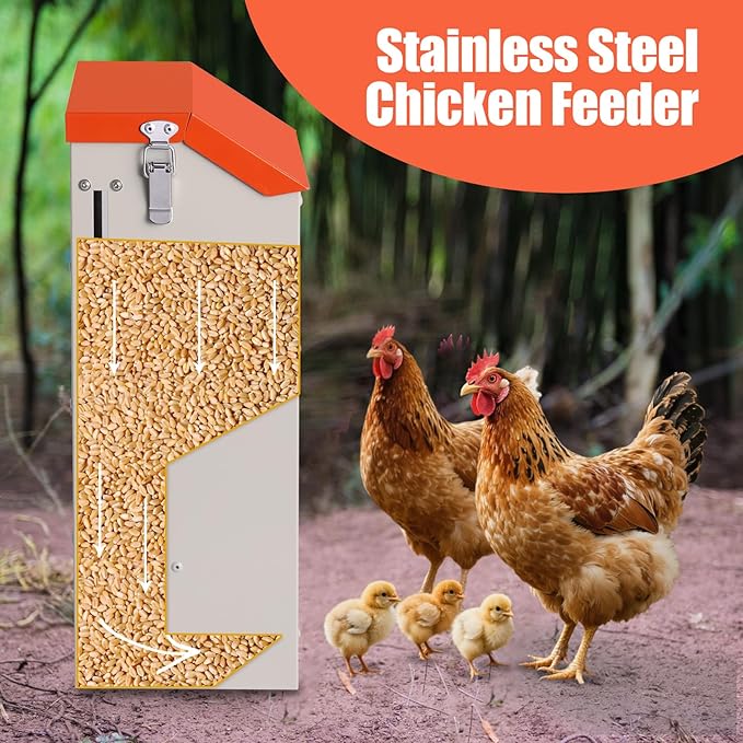 Chicken Feeder Wall Mount - No Spill Feeder No Waste for Poultry and Duck - Hanging Chicken Food Dispenser for Oyster Shell & Grit
