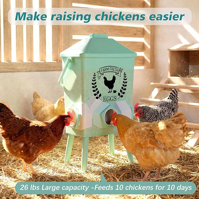 Tgeyd 4.2-Gallon Gravity Chicken Feeder & Waterer Set – No-Waste Poultry Feeder with Automatic Water Dispenser, Rainproof Lid, Raised Stand Legs & Anti-Roost Cone