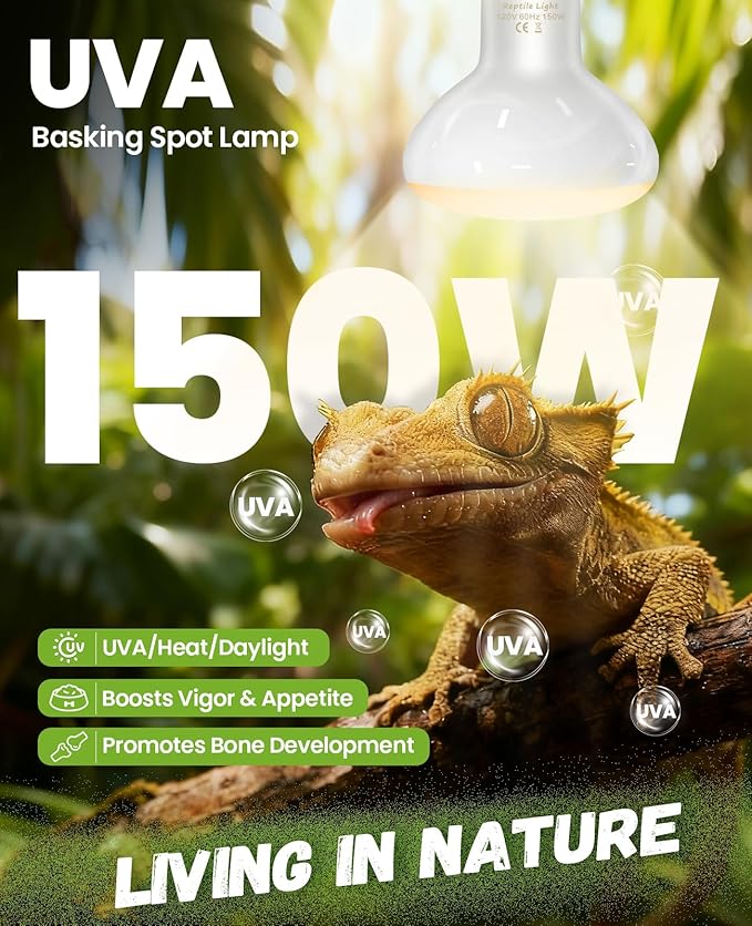 KINDEEP 150W Reptile Heat Lamp Bulbs: Reptile Day & Night Basking Spot Bulb Combo Amphibian Infrared Heat Lamp Bulb - UVA Basking Spot Daylight Heating Light Bulb for Lizard Tortoise Snake