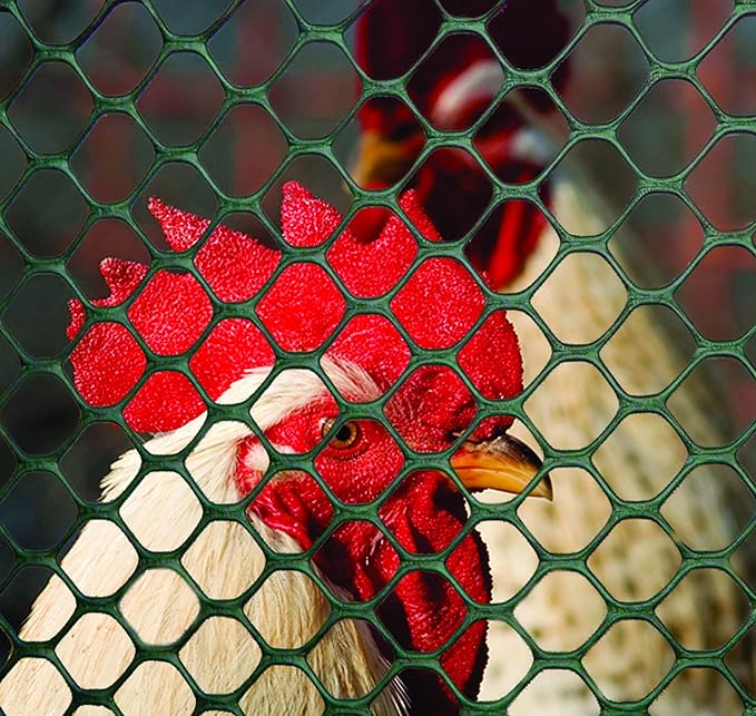 TENAX Poultry Fence - Green Plastic Poultry Fencing, Lightweight, Weather Resistant - 3-ft x 25-ft - Plastic