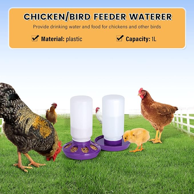 Chick Feeder and Waterer Set no Waste Chicken Water Dispenser 1L Chicken Water Feeder Poultry Waterer Baby Chick Duckling Supplies Starter Kit (Purple)
