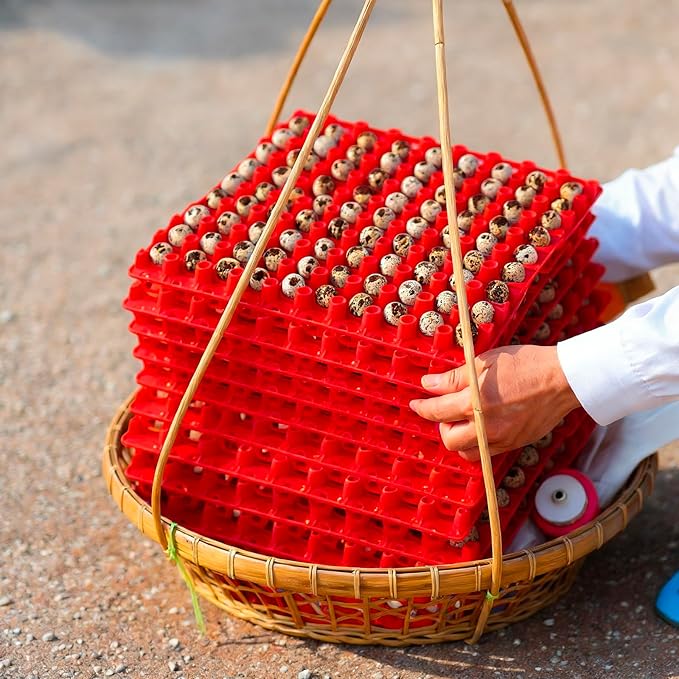 10 Pcs 90 Egg Plastic Trays Quail Egg Flats Holder for Quail Pigeon Dove Bird Flat Carton (Red)
