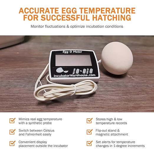 Incubator Warehouse Egg-O-Meter - Large Digital Display Egg Thermometer with Min/Max Memory - Reads Celsius and Fahrenheit +/-1