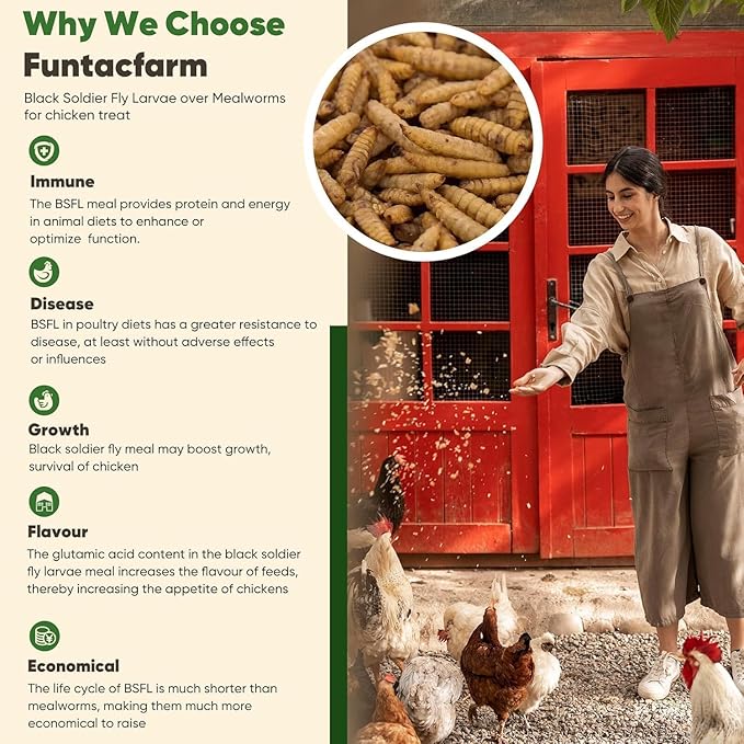 15LB Dried Black Soldier Fly Larvae for Chickens, High Protein Chicken Feed Superior to Meal Worms for Wild Birds & Chicken Treats for Laying Hens