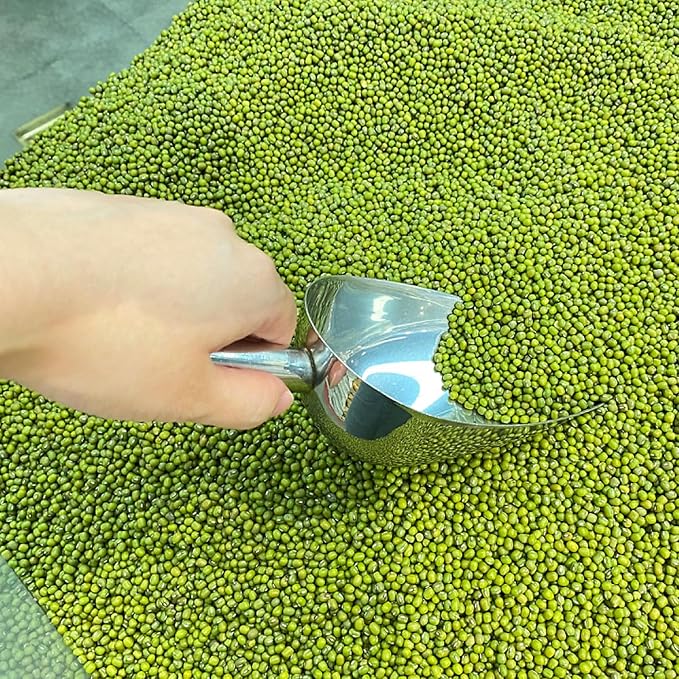 Mini Ice Scoop, 6 Ounce 6 PCS Stainless Steel Ice Scoop Small Metal Food Scoop for Home Kitchen Shop Popcorn Candy Coffee Beans, Dishwasher Safe