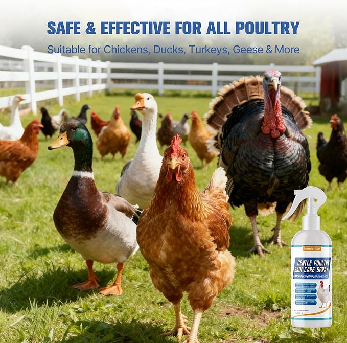 Poultry Care Spray – Chicken Wound Spray for Pecking Sores, Foot Injuries, Bumblefoot, Vent Prolapse, Minor Cuts & Irritations, Safe Wound Care for Chickens, Ducks, Turkeys & Geese, Easy to Use, 10 oz