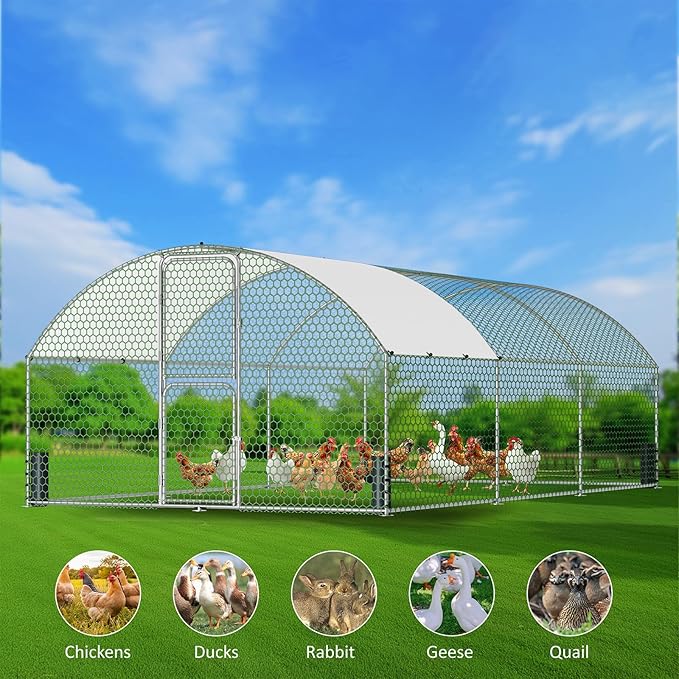 Large Metal Chicken Coop, Walk-in Chicken Run with Feeding Door, Security Lock and Cover, Outdoor Duck/Rabbit Cage Poultry Pen for Backyard, Farm, Yard (Silver - Dome Roof, 19.7 x 9.8 x 6.6 FT)