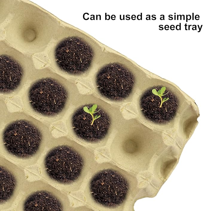 20 Flats 30-Cell Egg Crate, Sturdy and Stackable, Holds 30 Eggs, Multipurpose Use