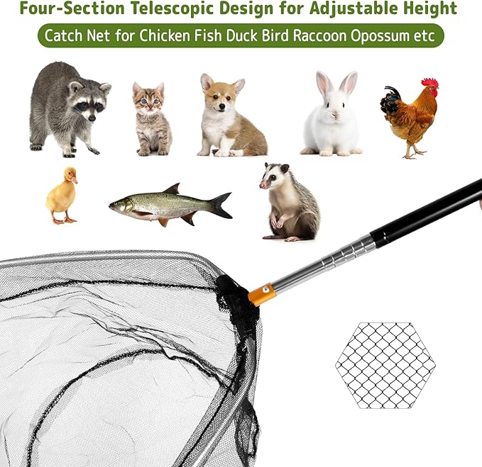 Adjustable Chicken Catching Net with Leg Hook – Stainless Steel Poultry Net, Fishnet,Suitable for Catching Outdoor Animals Such as Chickens, Ducks, Fishnet,Geese,Birds (2 Nets, 2 Pole Included)