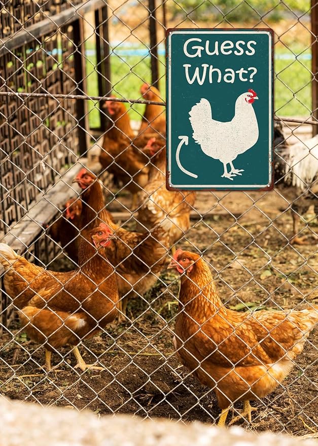 Guess What Funny Chicken Coop Tin Sign, Chicken Butt Poster, Farmhouse Kitchen Wall Art, Coop Accessories, Home Decor 8x12 Inch