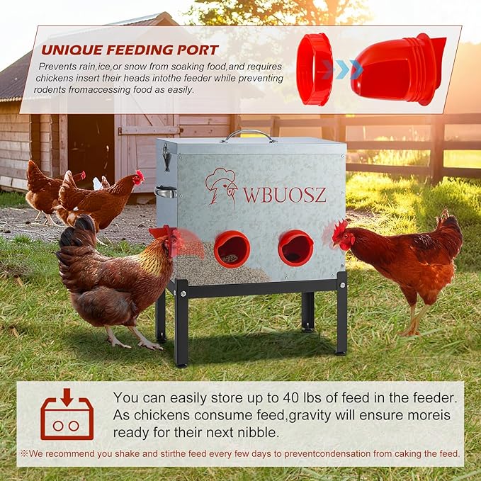 Automatic Chicken Feeder Box 40 lbs 6 Ports Large Capacity No Waste Galvanized Metal Poultry Feeder with Locking Lid and Legs for Hen Coop