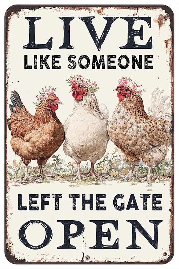 Chiken Gifts Funny Chicken Metal Sign For Home Chicken Decor Coop Rooster Decorations Farm Kitchen Chicken Wall Stuff 8x12 Inches Live Like Someone Left The Gate Open Tin Sign