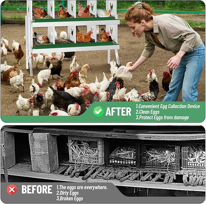 Chicken Nesting Boxes, 8-Compartment Metal Egg Laying Box with Swing Perch and Secure Lid – Versatile Wall Mount or Free Standing Suitable for Various Chicken Breeds - Green with Leg