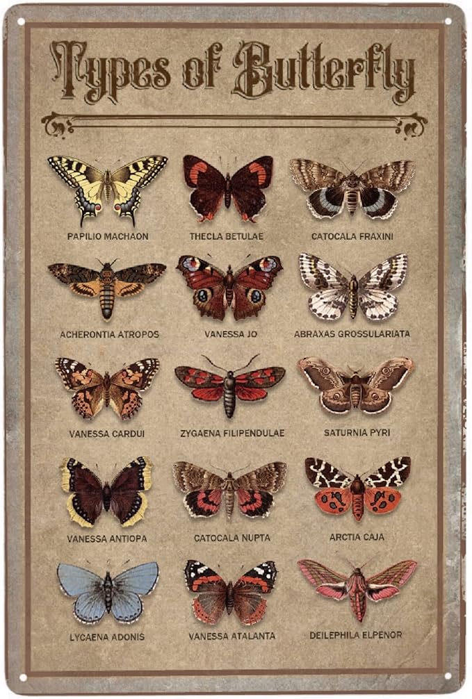 JOCASA Butterfly Vintage Aluminum Metal Sign Types Of Butterfly Poster Wall Decor-Retro Metal Tin Sign for Home Bedroom Kitchen Bar Home Cafe, Signs Gift,12''x 8''