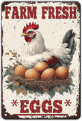 Funny Chicken Signs Farm Fresh Eggs Metal Sign Home Farm Art Wall Decor 12x8 Inch Vintage Chicken Coop Kitchen Garden Backyard Patio