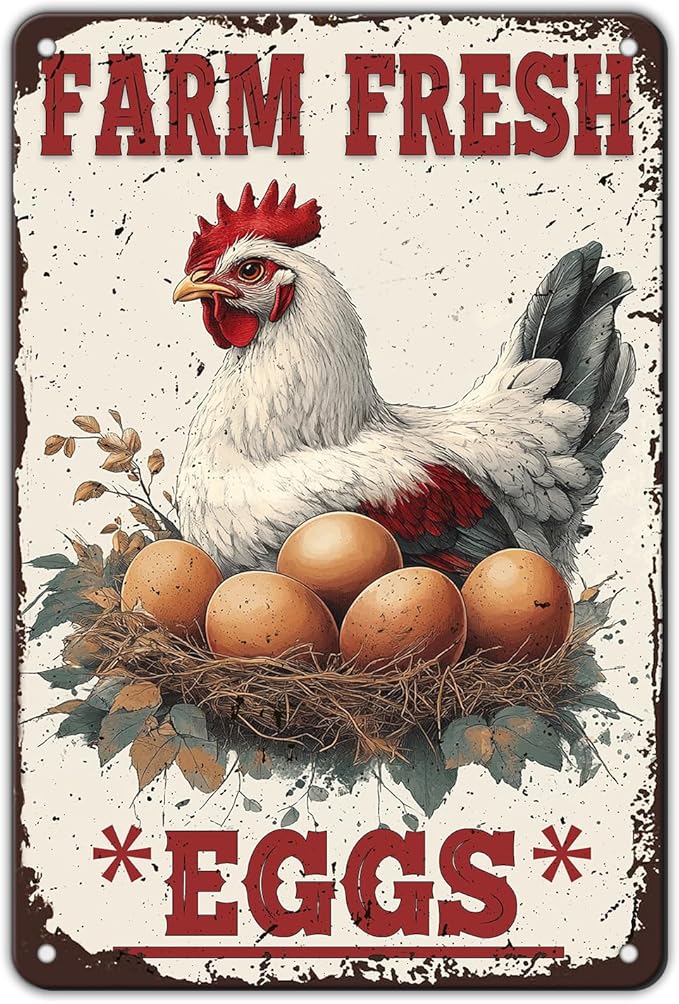 Funny Chicken Signs Farm Fresh Eggs Metal Sign Home Farm Art Wall Decor 12x8 Inch Vintage Chicken Coop Kitchen Garden Backyard Patio