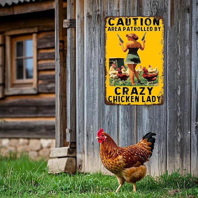 Funny Chicken Metal Sign Vintage Caution Area Patrolled By Crazy Chicken Lady Tin Signs Farm Coop Wall Decor Farmhouse Kitchen Home Garden Yard Hen Tin Poster 12x16 Inch