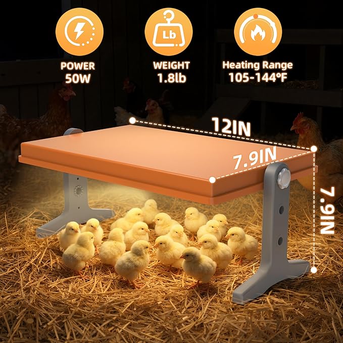 Chick Brooder Heater Plate – 12" x 8" Adjustable Height & Temperature Poultry Warmer for Up to 10 Chicks, Brooder Heating Plate for Chicks and Ducklings, Orange