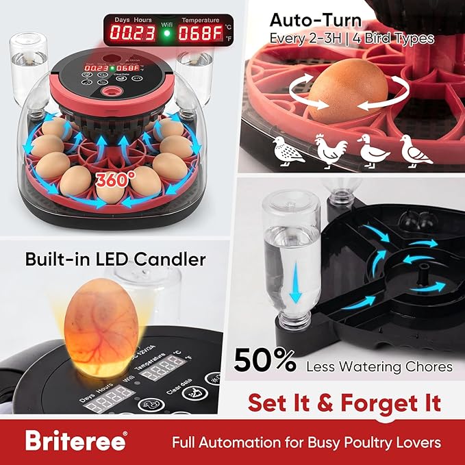 Smart Egg Incubator with WiFi APP & 1080P Camera | Auto Egg Cooling & Turner for High Hatch Rate | 18-24 Egg Capacity with Humidity Control & 360° View for Hatching Chicken/Duck/Quail