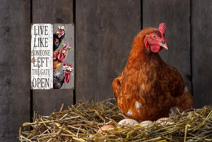 Chiken Gifts Vintage Chicken Decor Sign Live Like Someone Left The Gate Open Tin Sign for Home Chicken Coop Farm Fence Kitchen Bathroom Bedroom Wall Decor 8x12 in