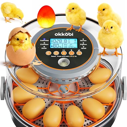12 Egg Incubator with Automatic Egg Turning and Humidity Control – Temperature Adjustment – incubators for Hatching Eggs – Built-in Egg Candler – Incubadora de Huevos de Gallina – Easy to Use