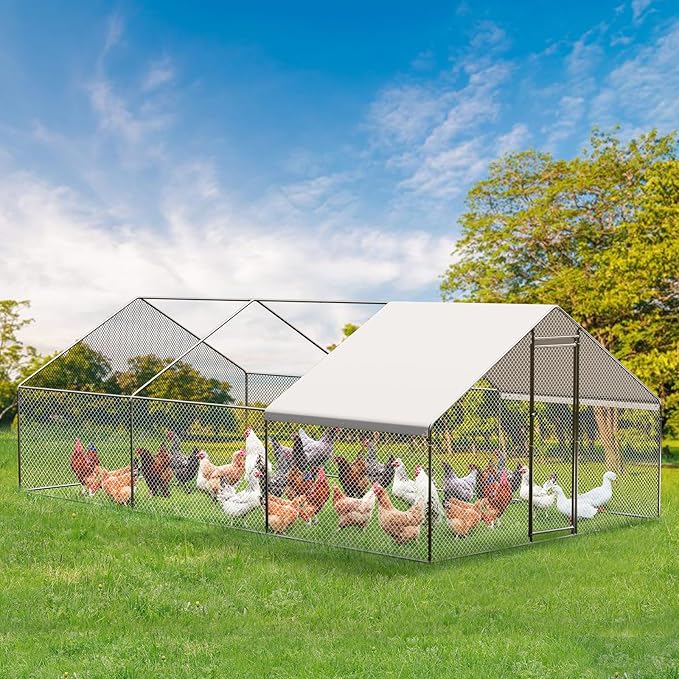 Large Walk-in Chicken Coop with Run, 9.8' x 19.7' Outdoor Chicken Runs for Yard with Cover, Metal Poultry Cage for Chickens, Ducks, Birds