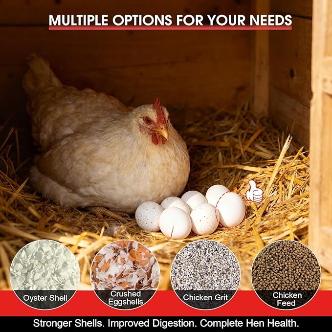 2 Pack Chicken Oyster Shell Feeder and Grit Feeder, Metal Hanging Chicken Feeder and Chicken Coop Accessories Improve Eggshell Quality and Hen Health