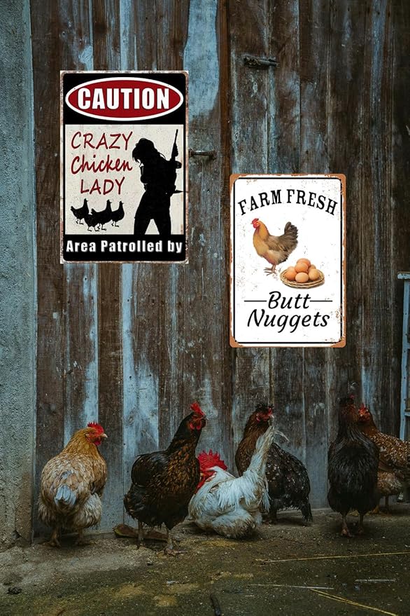 2pcs Funny Chicken Sign Vintage Metal Tin Signs Chicken Coop Accessories Lovers Gifts For Farm Yard Fence Decor Coop Caution Sign Outdoor Wall Decor 8×12 Inch