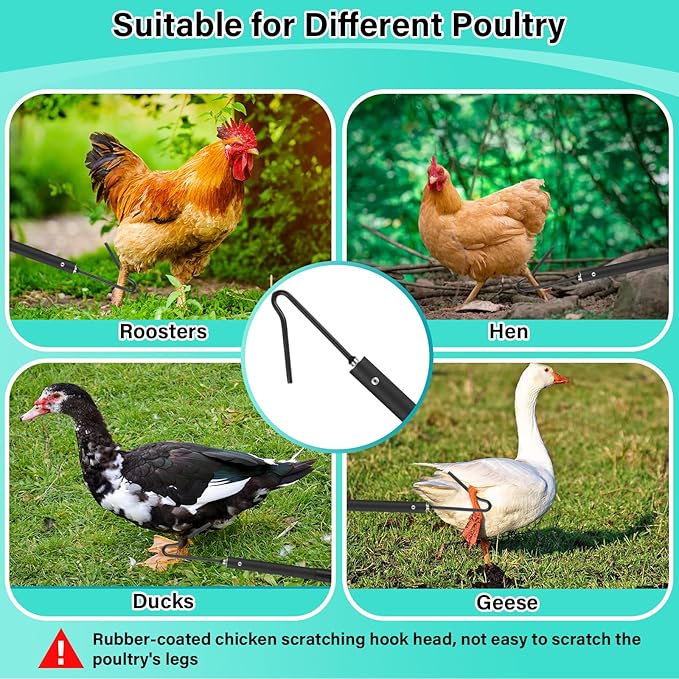 Chicken Catcher Net,37 to 93in Chicken Catcher Leg Hook Extra Long Handle Animal Catcher Pole Heavy Duty with Frosted Tube Extension Pole Poultry Hook Fowl Catcher (Black 75in)