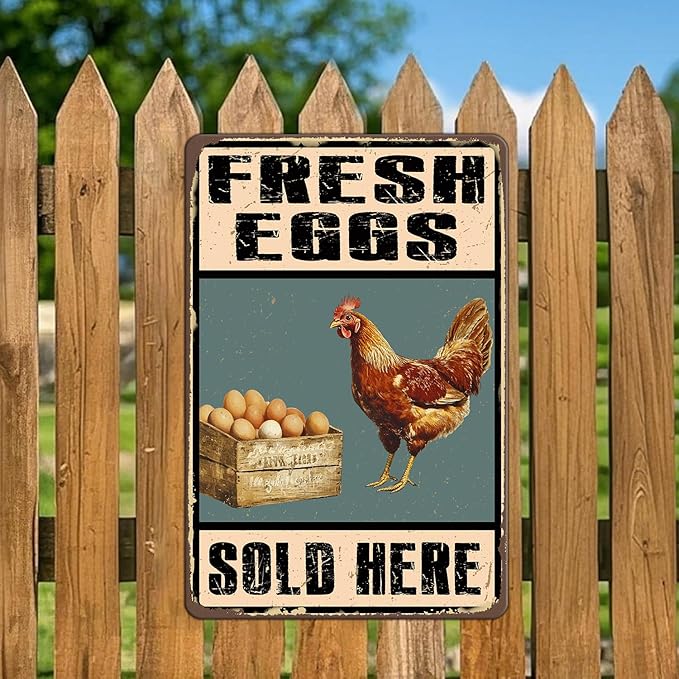 Rustic Farm Fresh Eggs Sold Here Tin Signs Vintage Country Chicken Hen Rooster Egg Metal Sign Funny Chicken Coop Metal Poster 12x16 Inch