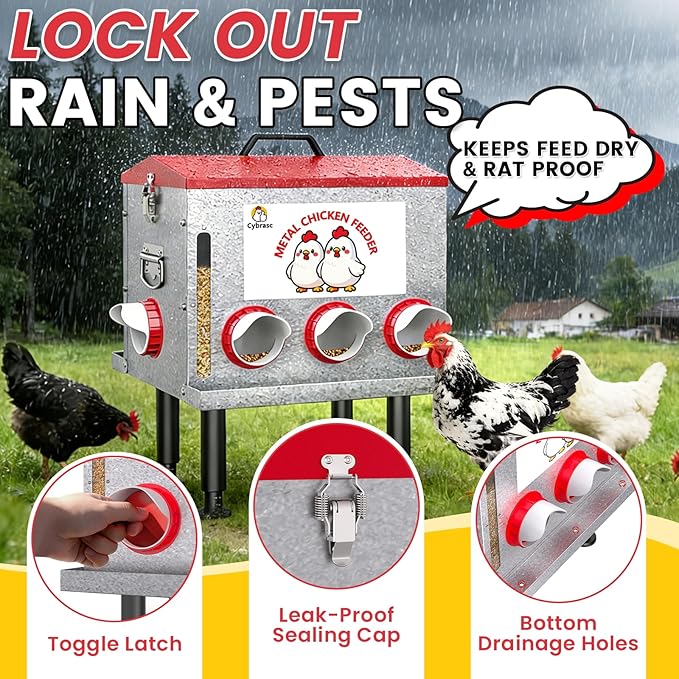 10-Gal 55LB Metal Chicken Feeder with Window, Dual No-Waste & Rat-Proof Design, Automatic Large Chicken Feeder for Outdoor Coops, Rust-Proof Alloy Steel Poultry Feeder with Adjustable Legs
