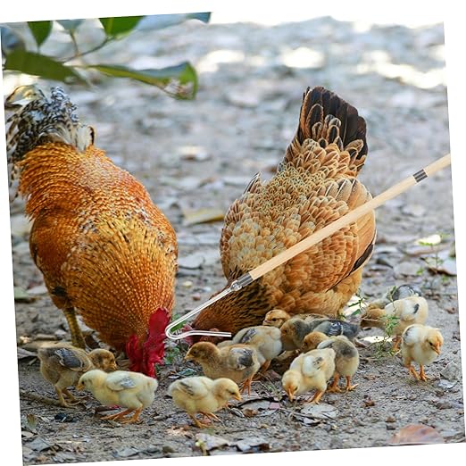 UPKOCH Poultry Catcher Leg Hook Tool Chicken and Duck Catching Rod Comfortable Grip for Farm Use Efficient Capture of Poultry and Livestock Sturdy Construction for Long-Term Reliability